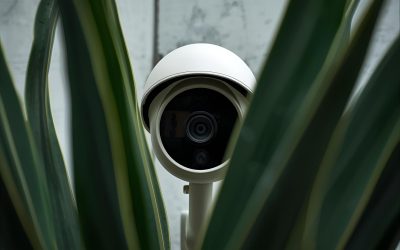 Cámaras ocultas vs cámaras visibles: ¿qué conviene más para disuadir robos?